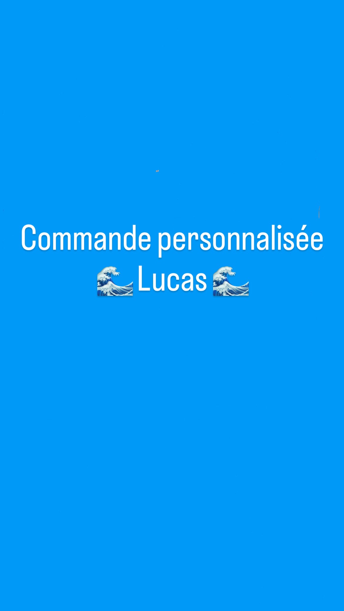 Commande personnalisée Lucas